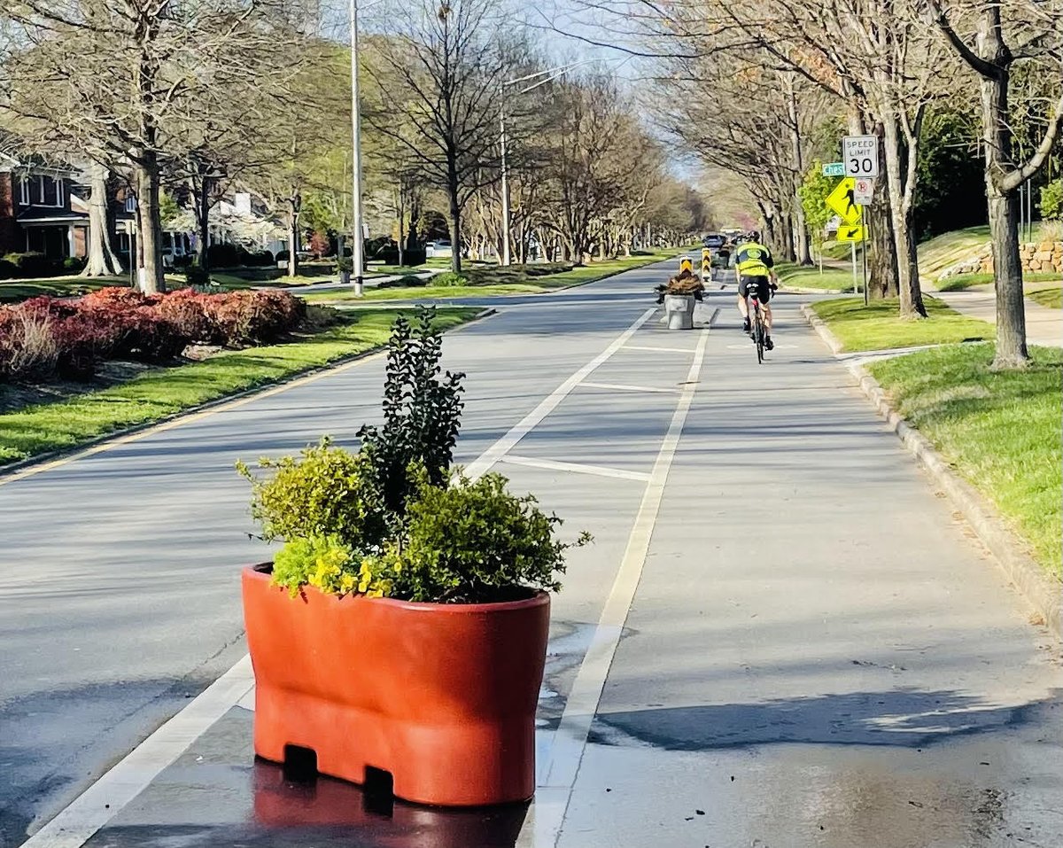 Plaza Midwood, NC - Midwood Mile | Plaza Midwood